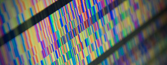 Sanger Sequencing