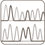 Sanger Sequencing